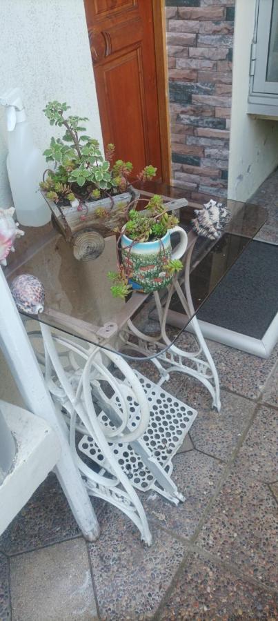 Bed and Breakfast La Ruta Del Jazz Santa Cruz Zewnętrze zdjęcie